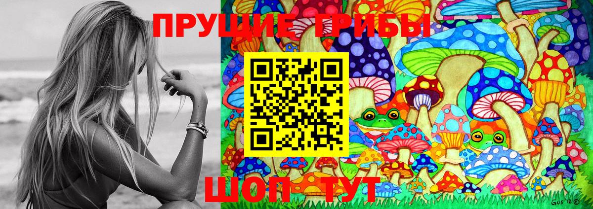 дарнет шоп  Вход с VPN  Лабинск  Галлюциногенные грибы MAGIC MUSHROOMS  Галлюциногенные грибы Psilocybine cubensis 
